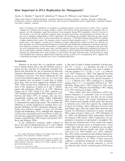 How Important Is DNA Replication for