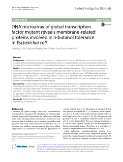 DNA microarray of global transcription factor mutant reveals