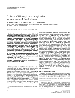 Oxidation of Dilinoleoyl Phosphatidylcholine by Lipoxygenase 1