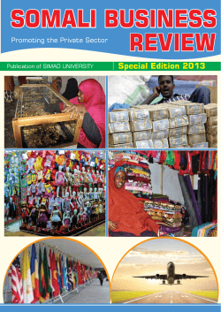 somali business review