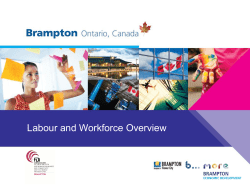 Labour and Workforce Overview