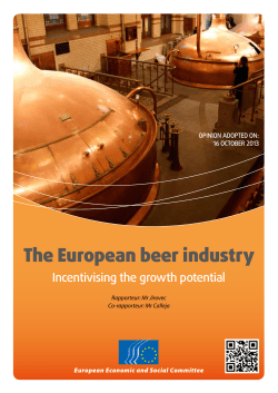 Executive summary of the opinion
