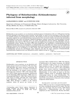 Phylogeny of Holothuroidea (Echinodermata) inferred from