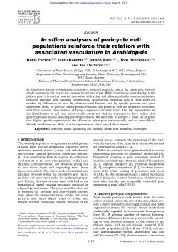 In silico analyses of pericycle cell populations reinforce their relation