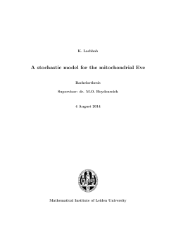 A stochastic model for the mitochondrial Eve