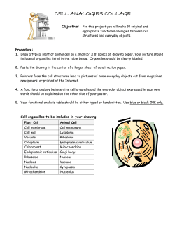 CELL ANALOGIES COLLAGE