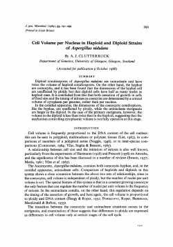 Cell Volume per Nucleus in Haploid and Diploid