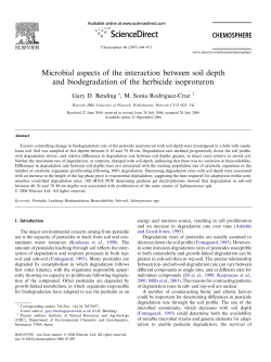 Microbial aspects of the interaction between soil depth and