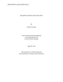 HOMOPHOBIA AND GENDER ROLES