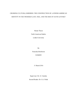 Franciska Borsboom Master Thesis DEF