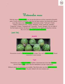 Watermelon - FOOD SAFETY INSIGHT