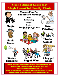 Magic Tug of War Face Painting Sack Races Limbo Games 3