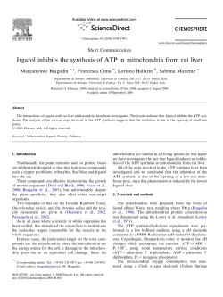 Irgarol inhibits the synthesis of ATP in mitochondria from rat liver