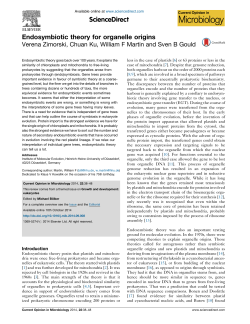 Endosymbiotic theory for organelle origins