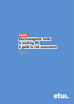 Guide Electromagnetic fields in working life A guide to risk assessment