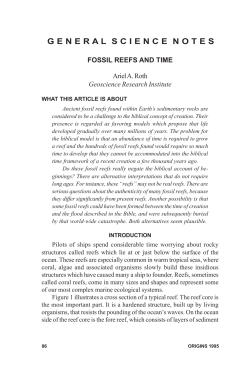 Fossil reefs and time. - Geoscience Research Institute