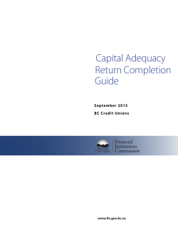 Capital Adequacy Return Completion Guide