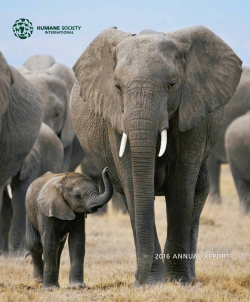 2016 annual report - Humane Society International