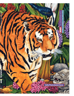 India/Postcolonial Focus