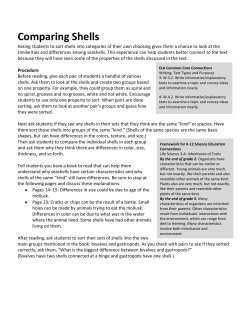 Comparing Shells - Next Time You See