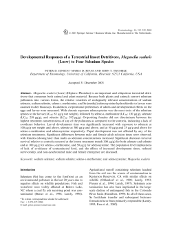 Developmental Responses of a Terrestrial Insect Detritivore
