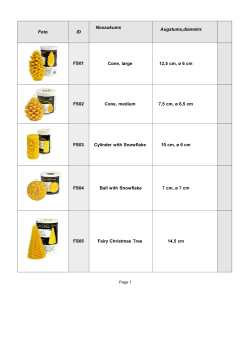 Foto ID Nosaukums Augstums,diametrs FS01 Cone, large 12,5 cm