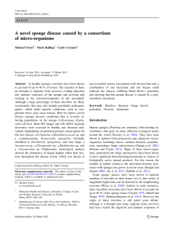 A novel sponge disease caused by a consortium of micro