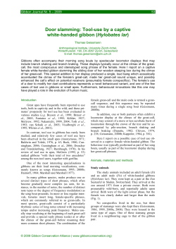 Door slamming - Gibbon Research Lab