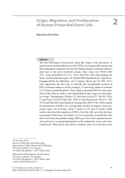 Origin, Migration, and Proliferation of Human Primordial Germ Cells