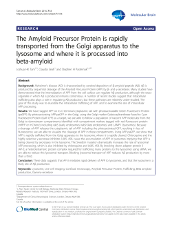 The Amyloid Precursor Protein is rapidly transported from the Golgi
