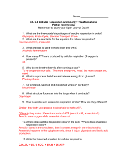 Name Ch. 3.5 Cellular Respiration and Energy