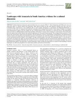 Landscapes with Araucaria in South America: evidence for a cultural