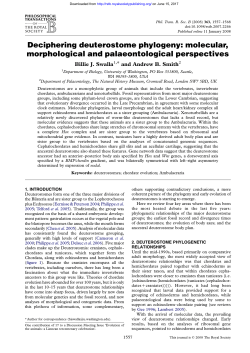 Deciphering deuterostome phylogeny: molecular, morphological