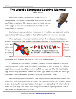 The World`s Strangest-Looking Mammal