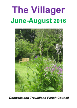 The Villager - Dobwalls and Trewidland Parish Council