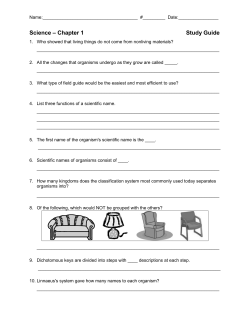 Social Studies &ndash; Chapter 5 Study Guide