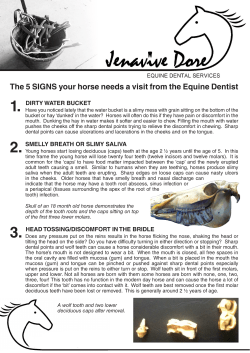 The 5 SIGNS your horse needs a visit from the Equine Dentist