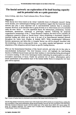 The Fascial Network: An Exploration of its Load