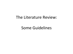 The Literature Review: Some Guidelines