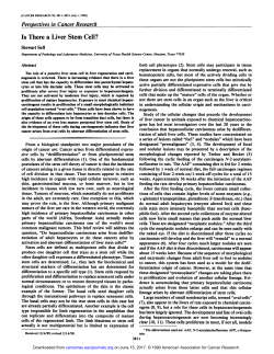 Perspectivesin CancerResearch Is There a Liver Stem Cell?