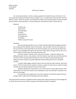 Hillary Lambert ES Lab Demo Fall 2013 Earth Layer Cupcakes For