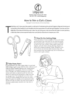 lot ypop farm - Lollypop Farm