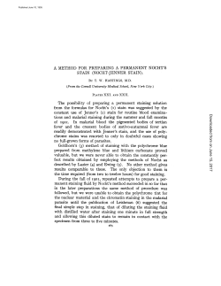 A METHOD FOR PREPARING A PERMANENT NOCHT`S STAIN