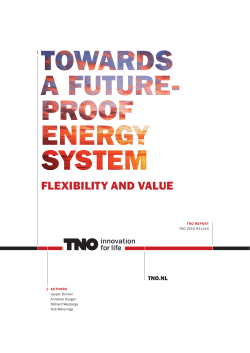 Towards a futureproof energy system: flexibility and value