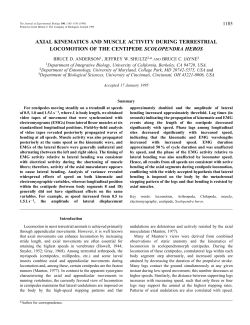 axial kinematics and muscle activity during terrestrial locomotion of