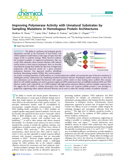 Improving Polymerase Activity with Unnatural