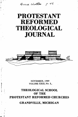 Calvin`s Doctrine of the Trinity