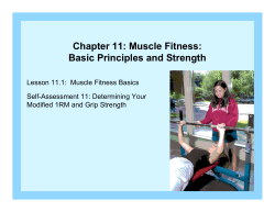 Chapter 11: Muscle Fitness: Basic Principles and Strength