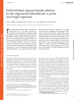 Dolichol-linked oligosaccharide selection by the