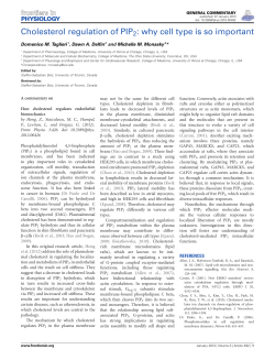 Cholesterol regulation of PIP2: why cell type is so important